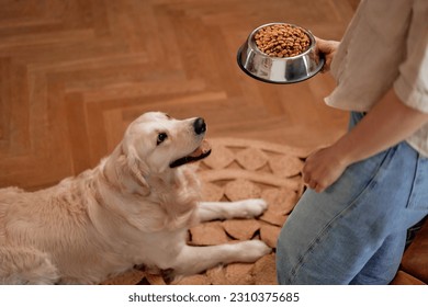 Feeding time! An adult woman brought a bowl of food to her pet Labrador dog. - Powered by Shutterstock