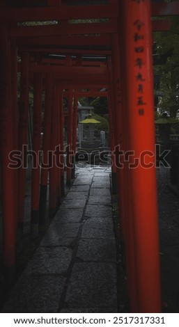 feel the calmnes while walking