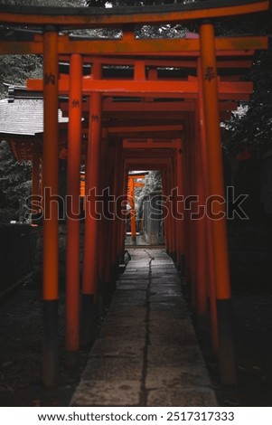 feel the calmnes while walking