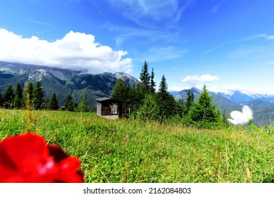 It feels like Sommer in the mountains  - Shutterstock ID 2162084803