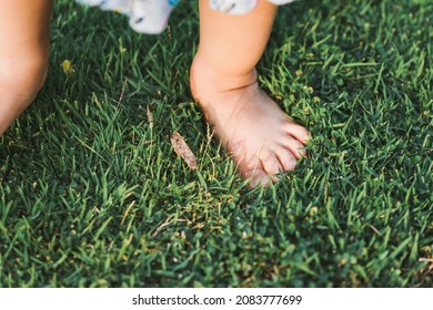 Feet baby child standing on green grass. Girl learn her senses with nature. Kid and sensory concept.