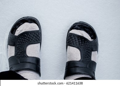 Feet In Flip Flops On The Snow