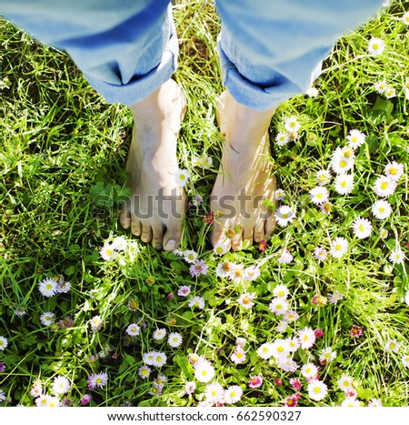 Feet in grass on meadow with daisy flowers/ summer relax concept