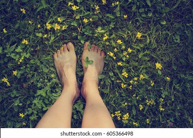 Feet in grass on meadow with flowers