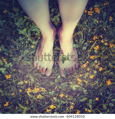 Similar – Image, Stock Photo Women’s feet barefoot with bow tie