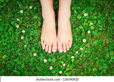 Feet in grass on meadow with heart of camomile