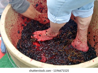 Feet And Hand Stomping Grapes In Competition