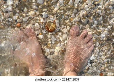 Feet Of Man Under The  Sea Water Above Many Shells