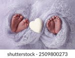 Feet of newborn twins. Two pairs of baby feet in a blue lilac blanket. White knitted heart. Close up - toes, heels and feet of a newborn Newborn twins brothers, sisters. Studio macro photograph. 