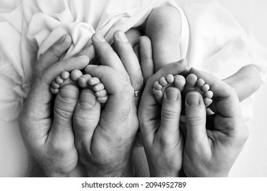 Feet of newborn twins. Two pairs of baby feet. Parents, father mother hold newborn twins by the legs. Close up - toes, heels and feet of a newborn. Newborn brothers, sisters. Black and white.