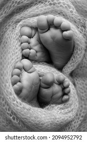 Feet of newborn twins. Two pairs of baby feet in a knitted blanket. Close up - toes, heels and feet of a newborn. Newborn brothers, sisters. Studio macro photography. Black and white photography.