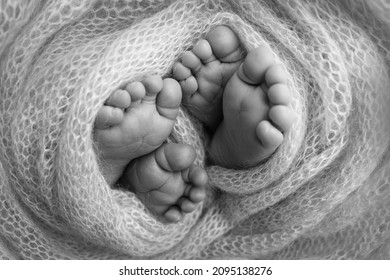 Feet Of Newborn Twins. Two Pairs Of Baby Feet In A Knitted Blanket. Close Up - Toes, Heels And Feet Of A Newborn. Newborn Brothers, Sisters. Studio Macro Photography. Black And White Photography.