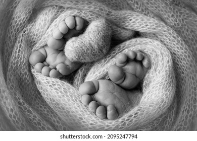 Feet Of Newborn Twins. Two Pairs Of Baby Feet In A Knitted Blanket, Knitted Heart. Close Up - Toes, Heels And Feet Of A Newborn. Newborn Brothers, Sisters. Studio Macro Photography. Black And White.