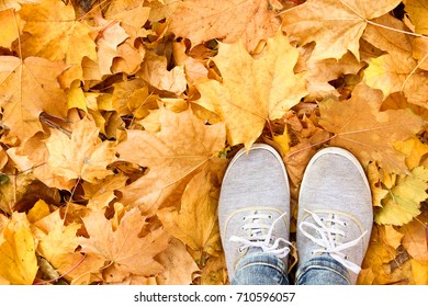feet on the autumn yellow  leaves