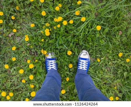 Similar – Blaues Blumenbeet mit blauen Schuhen