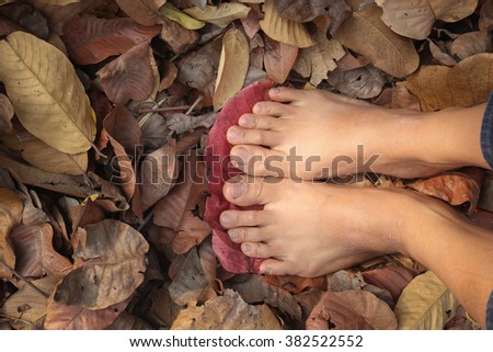 feet on the leafs dry,forest