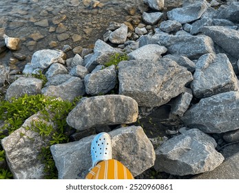 Feet on the rocky shore near the lake water with some small plant bushes  - Powered by Shutterstock