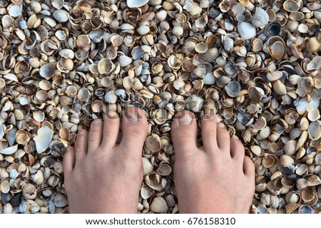 feet on seashells background