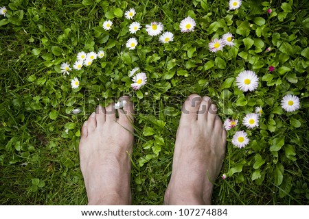 Similar – Image, Stock Photo bare feet on green meadow with white and yellow flowers