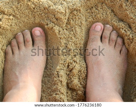 Similar – Image, Stock Photo sandpiper Flip-flops