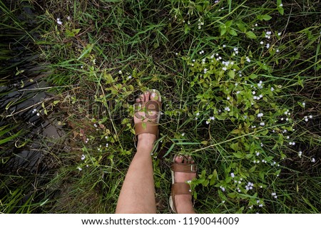 Similar – Feet of a woman wearing sandals