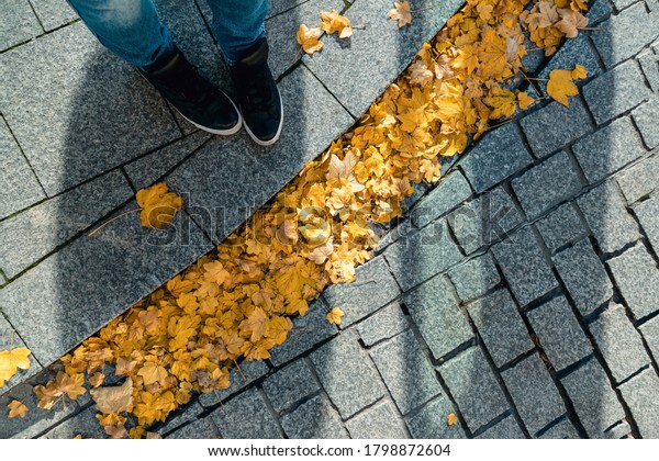 Feet\
selfie with line of yellow autumn leaves. Copy\
space