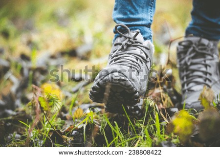 feet in shoes on a forest path