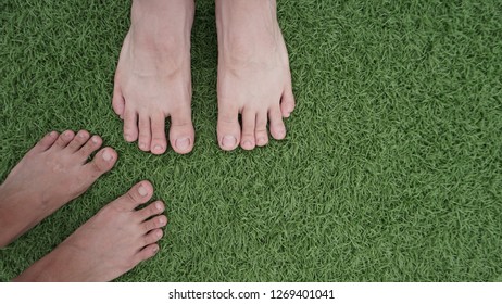 Feet Stand Together Stock Photo 1269401041 | Shutterstock