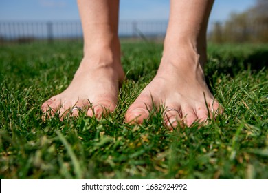 Bare Feet On Grass Picnic Concept Stock Photo (Edit Now) 1745196188