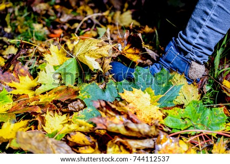 feets on autumn leaves. casual leather woman shoes in the fall l