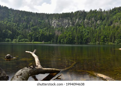 Feldsee Lake in Blackforest Germany