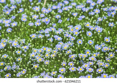 Agatea Images, Stock Photos & Vectors | Shutterstock