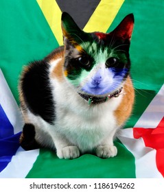 A Feline South African Supporter With A Hint Of Face Paint.