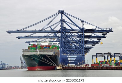 Felixstowe, Suffolk, United Kingdom, September 21, 2022. Large Evergreen Container Ship Bulk Carrier Moored Dockside. Being Loaded Unloaded By Cranes. Illustrates Trade, Globalisation, Business.