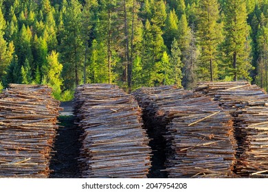Felled cut wood timber logs in a pile at a sawmill in Midway, British Columbia, Canada. The lumber logging industry is a very important business for the economy of British Columbia. - Shutterstock ID 2047954208