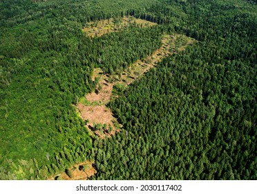 Felled Forest, Aerial View. Destruction Of Forests And Felling Of Trees. Forests Illegal Disappearing. Environmetal And Ecological Issues. Forestry Concept. Aerial Perspective Of Green Pine And Spruce