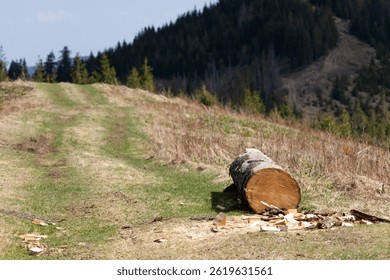 Felled tree trunk lying on a mountain trail with scattered wood chips. Concept of forestry, wood harvesting, environmental impact, logging industry, deforestation and rural nature