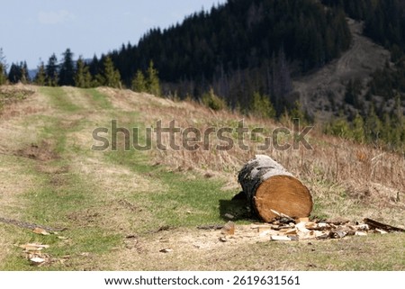 Felled tree trunk lying on a mountain trail with scattered wood chips. Concept of forestry, wood harvesting, environmental impact, logging industry, deforestation and rural nature