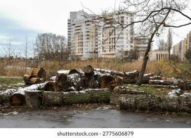 Felled tree trunks covered with light snow in a city park in Warsaw, Poland, with modern residential apartment buildings and autumn trees in the background under an overcast sky.