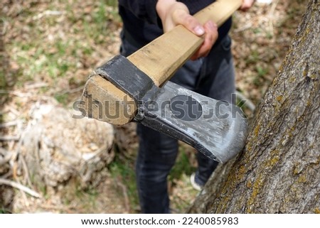 felling trees with an ax, tree slaughter, cutting trees without permission, trees and axes,