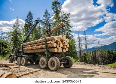 Felling of trees, cut trees. Truck loading wood in the forest. Loading logs onto a logging truck. Portable crane on a logging truck. Forestry tractors, trucks and loggers machinery. Forest industry. - Powered by Shutterstock