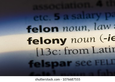Felony Felony Concept.