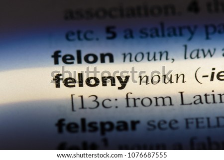 felony felony concept.