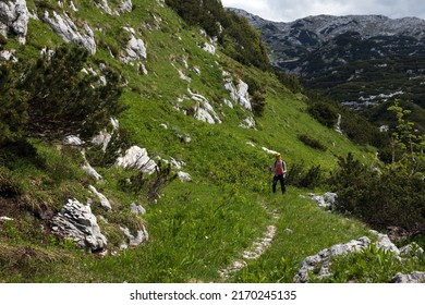 Female Adult Hiker Solo Ascent on Alpine Trail Footpath of World War One in Slovene Julian Alps - From Prehodci to Peski Trail