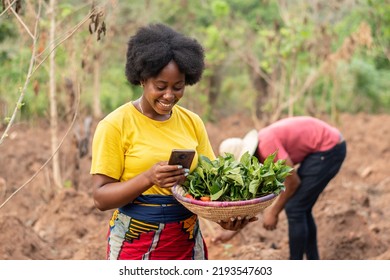 female african farmer making use of her phone - Shutterstock ID 2193547603