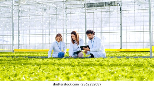 Female agricultural expert showing bunch of organic greenery to laboratory assistants during farm inspection. Workers taking research notes on laptop and clipboard to produce better future results. - Powered by Shutterstock