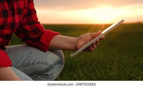 Female agronomist hands use tablet smart digital technology examining green wheat condition closeup. Woman agricultural scientist touch grass inspecting fertility innovation data analyzing at sunset - Powered by Shutterstock