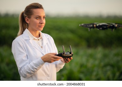 female agronomist holding Drone Remote and controlling drone in air standing in corn field on sun set, soft focus, focus on Drone Remote, sets up drone before taking off.