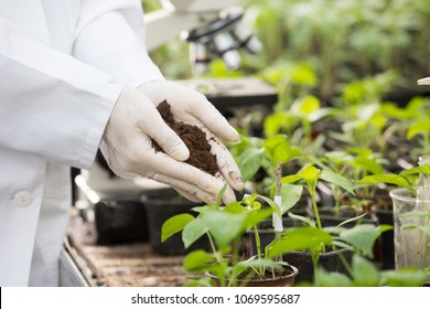 Environmental Science 图片 库存照片和矢量图 Shutterstock