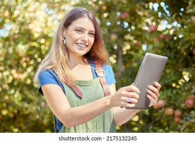 A Female Apple Farmer Standing And Using A Digital Tablet While Checking Her Plants. Smiling Woman Using Technology To Prepare For Harvest On Her Farm. Monitoring Plant Growth And Agriculture